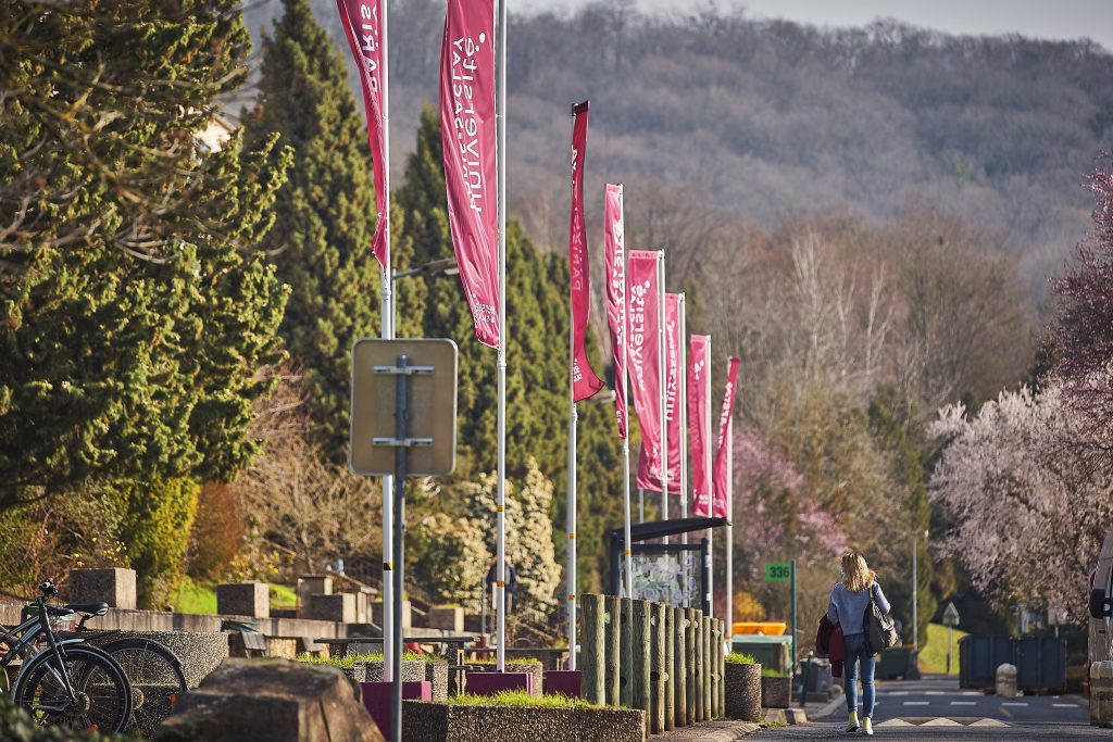 Une allée avec des arbres et des drapeaux de l'Université Paris-Saclay.