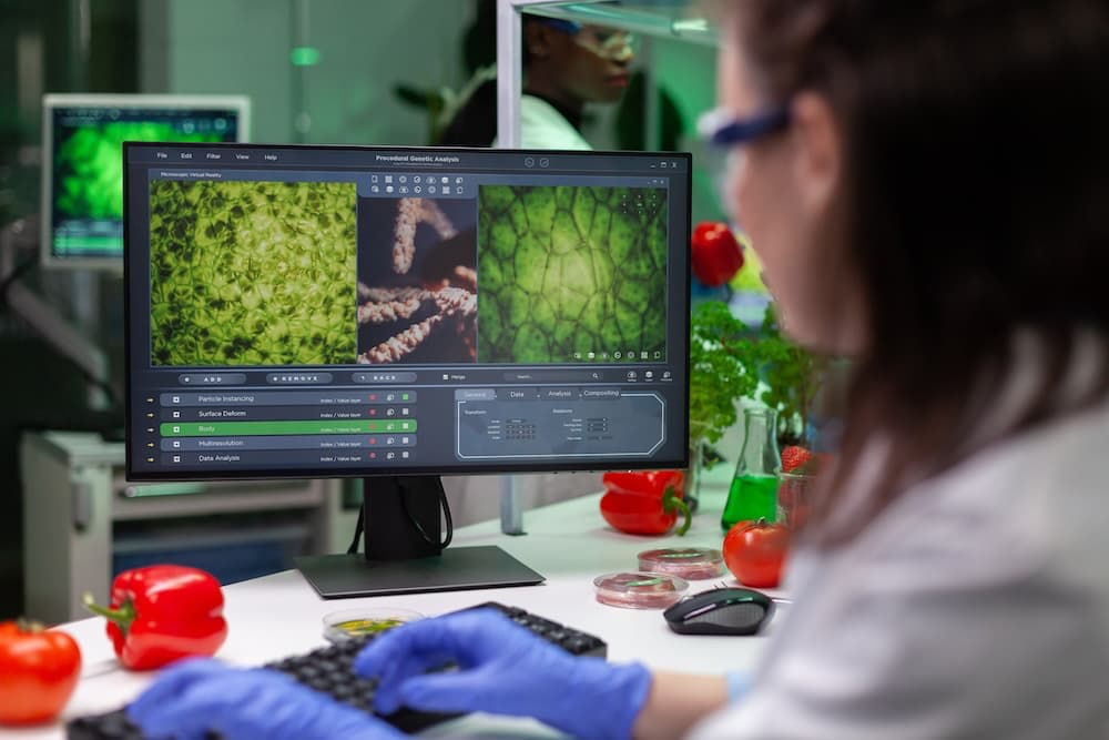 Une scientifique travaille sur son ordinateur. L'écran affiche des images prises au microscope.